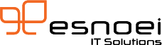 Esnoei Inc